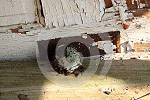 Rusty handle on weathered wood door