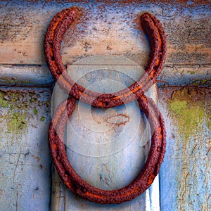 Rusty horse shoes