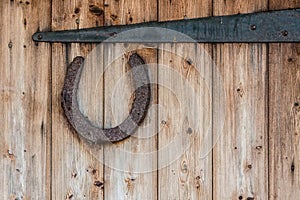 Rusty horseshoe
