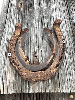 Rusty horseshoes on barn