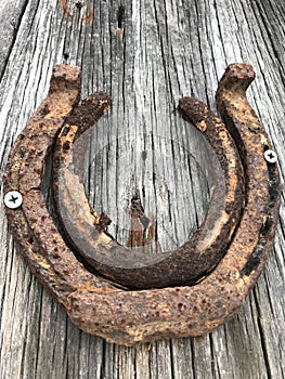 Rusty horseshoes on barn wood