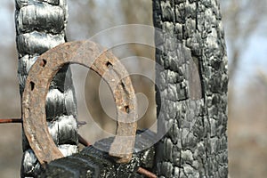 Rusty horseshoes on a burned wooden pole - rustic scene in a country style.