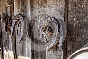 Rusty horseshoes hang on a wooden wall