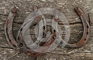 Rusty horseshoes on a wooden wall