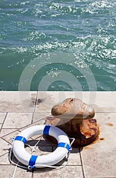 Rusty iron bollard and lifebuoy on a sea pier