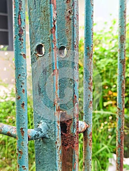 rusty iron fance and tall grass in the house photo