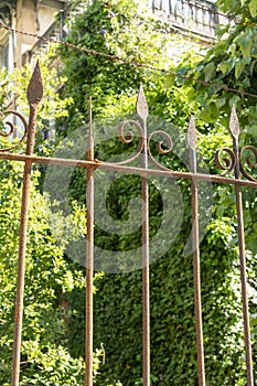 Rusty iron fence with barbed wire fences an abandoned house overgrown