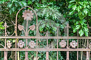 rusty iron fence