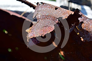 Rusty iron and pieces of rusty iron from the barrel.