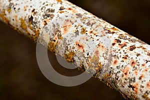 Rusty iron pipe in the open photo