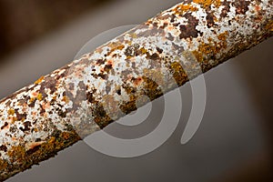 Rusty iron pipe in the open photo