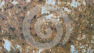 A rusty iron sheet suitable for use as a textured background