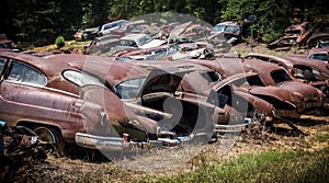 Rusty Junked Cars