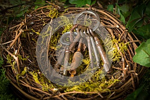 Rusty keys in nest