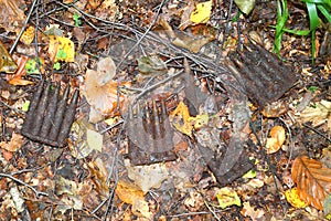 Rusty kitted rifle clips