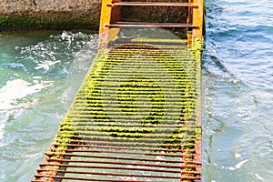 A rusty ladder in the water