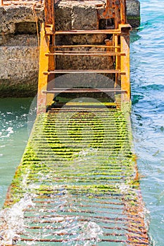 A rusty ladder in the water