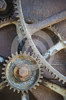 Rusty large gears from old mechanism
