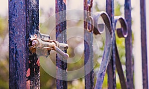 Rusty lock closing the gate
