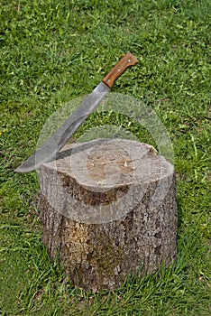 Rusty machete stuck in stump