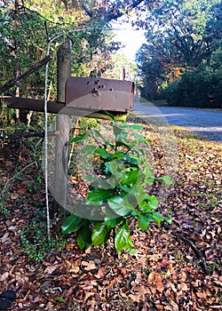 Rusty Mailbox