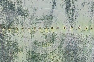 rusty metal background with green paint and rivets