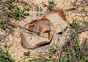 Rusty metal can on the grass in the field
