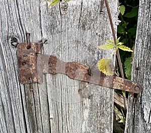 Rusty metal door hinge on the fence gate