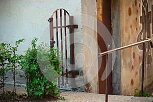 Rusty metal gate with hedge on one side and building cornier on other with another entrance door and railings
