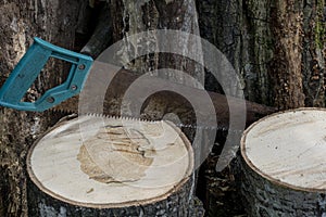 Ð rusty metal hacksaw saws a wooden stump