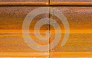 A rusty metal panel background.