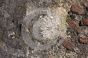 Rusty metal and stone wall backgrounds