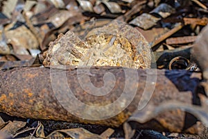 Rusty metal waste lying unsorted in a heap