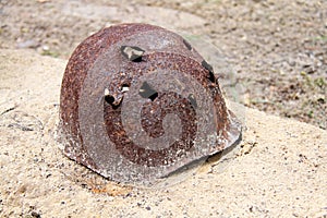 Rusty military helmet