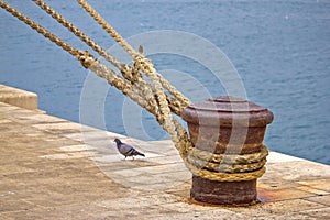 Rusty mooring bollard with ship ropes