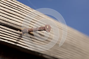 Rusty Nail Close Up