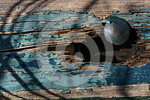 Rusty nail in a hole of a rotten wooden plank with flaking blue color, copy space, selected focus photo
