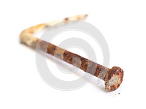 Rusty nail isolated on white background