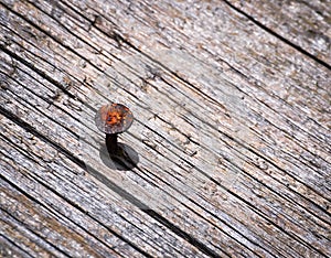 Rusty nail in an old wooden board