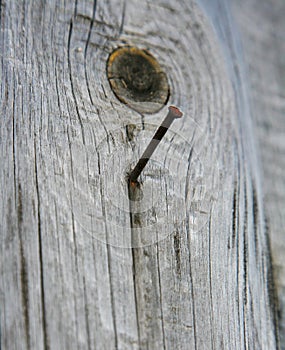 Rusty nail in an old wooden Board. a simple country motif, the style.