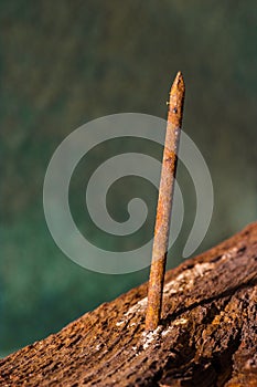 Rusty nail protruding from an old weathered board