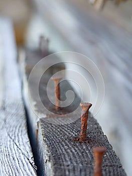 Rusty nail in wood