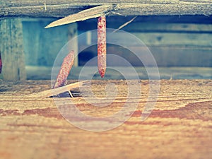 Background of old nails and wood