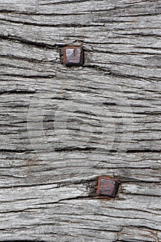 Rusty nails in wood texture