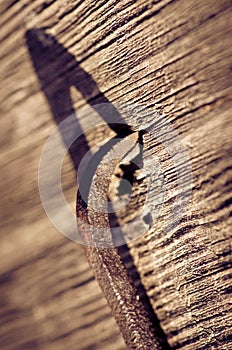 Rusty nails in wood close up with copy space