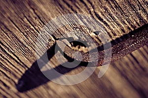 Rusty nails in wood close up with copy space