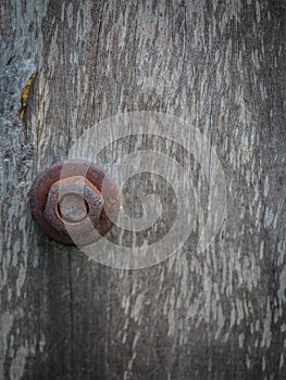 Rusty Nut on Wooden pole