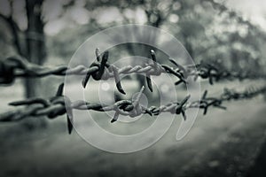 Rusty old barbed wire fence on the wall, black and white