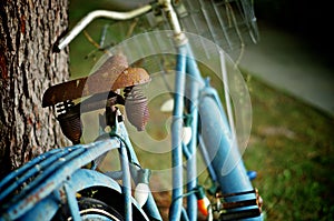 Rusty Old Blue Bicycle