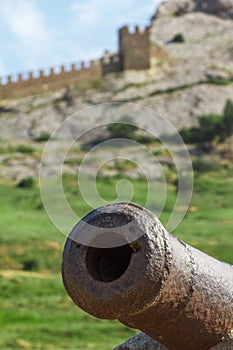 Rusty old cannon to fire nuclei.